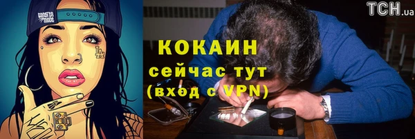 эйфоретик Тавда