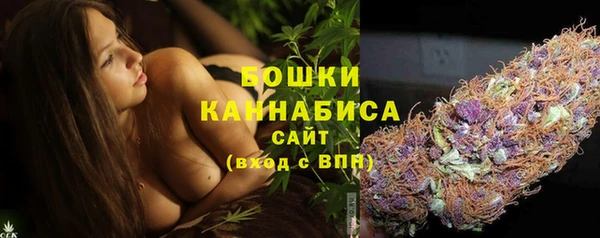 дмт Тайга
